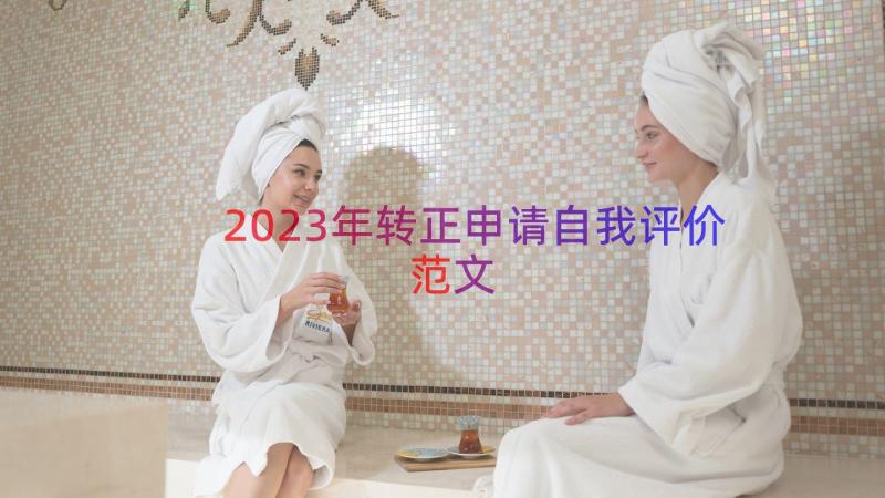 2023年转正申请自我评价范文（17篇）