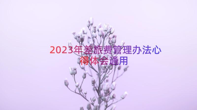 2023年差旅费管理办法心得体会（通用16篇）