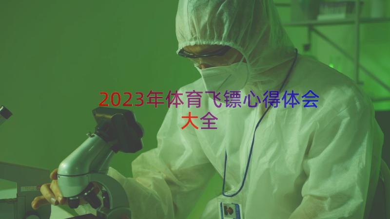 2023年体育飞镖心得体会大全（16篇）