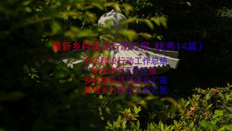 最新乡村建设行动汇报（优秀14篇）