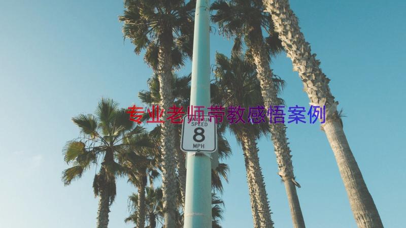 专业老师带教感悟（案例16篇）