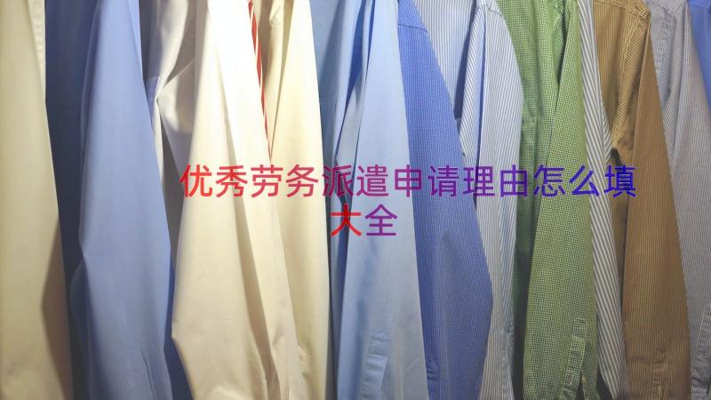 优秀劳务派遣申请理由怎么填大全（17篇）