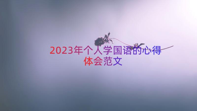 2023年个人学国语的心得体会范文（16篇）