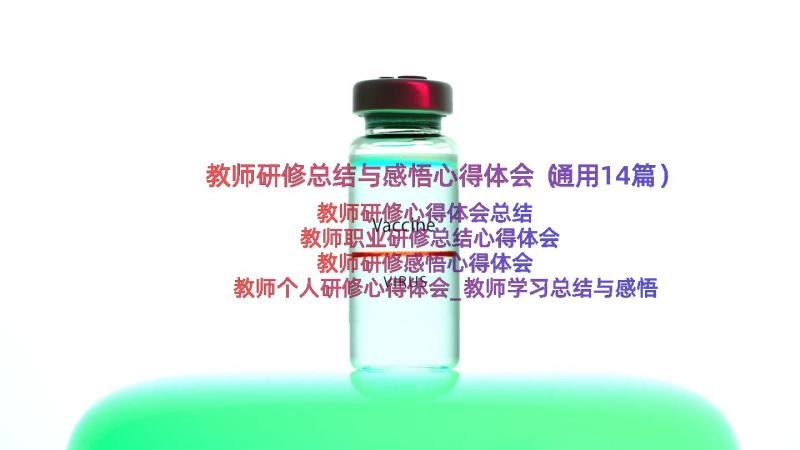 教师研修总结与感悟心得体会（通用14篇）