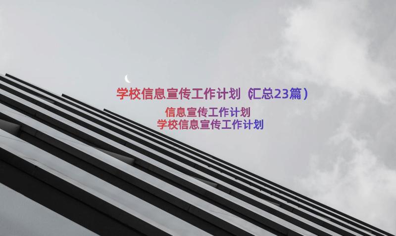 学校信息宣传工作计划（汇总23篇）