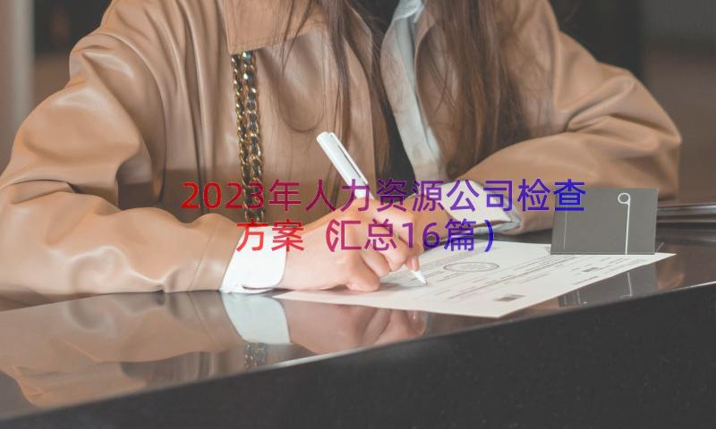 2023年人力资源公司检查方案（汇总16篇）