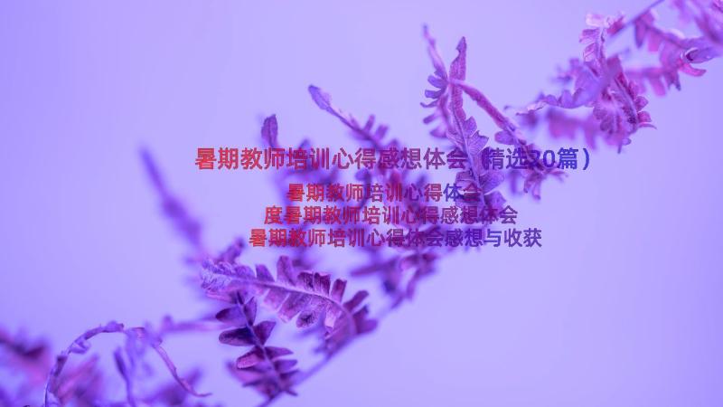 暑期教师培训心得感想体会（精选20篇）