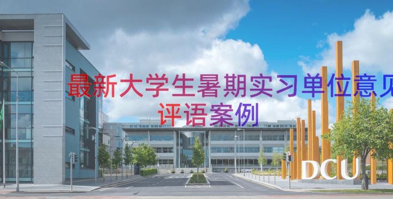 最新大学生暑期实习单位意见评语（案例21篇）