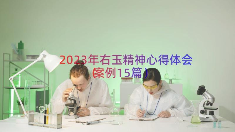 2023年右玉精神心得体会案例