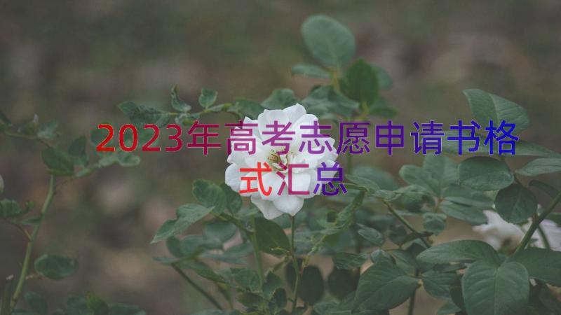 2023年高考志愿申请书格式（汇总17篇）