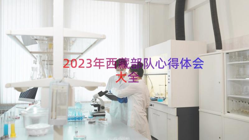 2023年西藏部队心得体会大全（17篇）