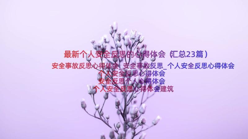 最新个人安全反思的心得体会（汇总23篇）