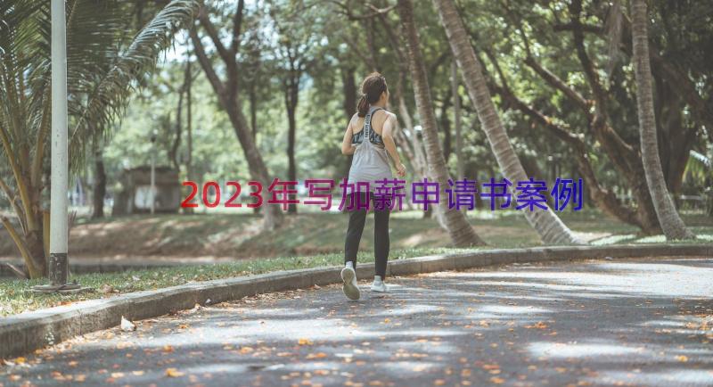 2023年写加薪申请书（案例12篇）