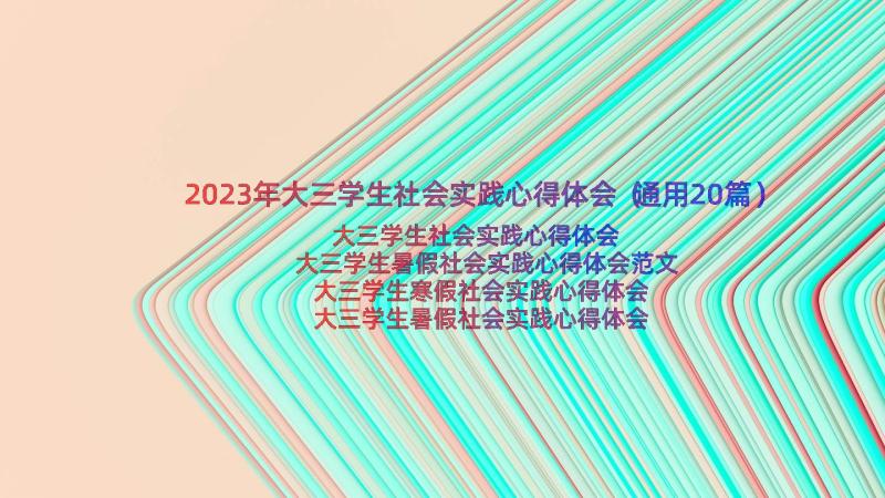 2023年大三学生社会实践心得体会（通用20篇）