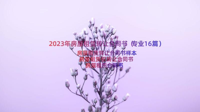 2023年房屋租赁转让合同书（专业16篇）