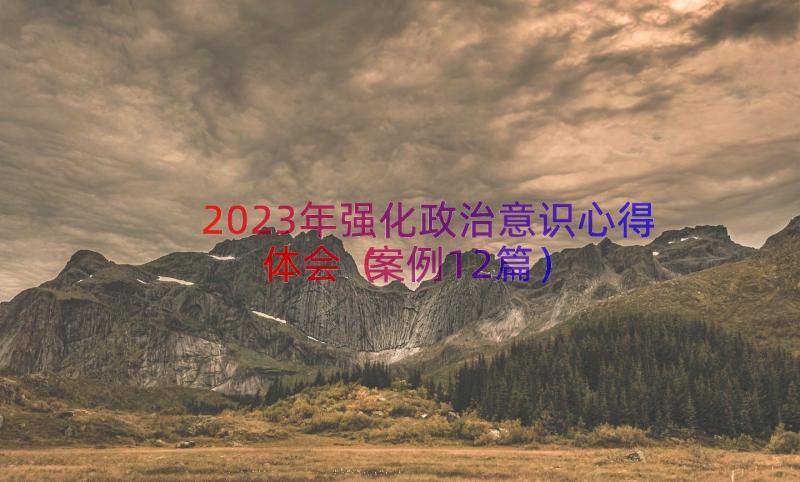 2023年强化政治意识心得体会（案例12篇）