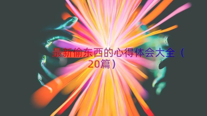 最新偷东西的心得体会大全（20篇）