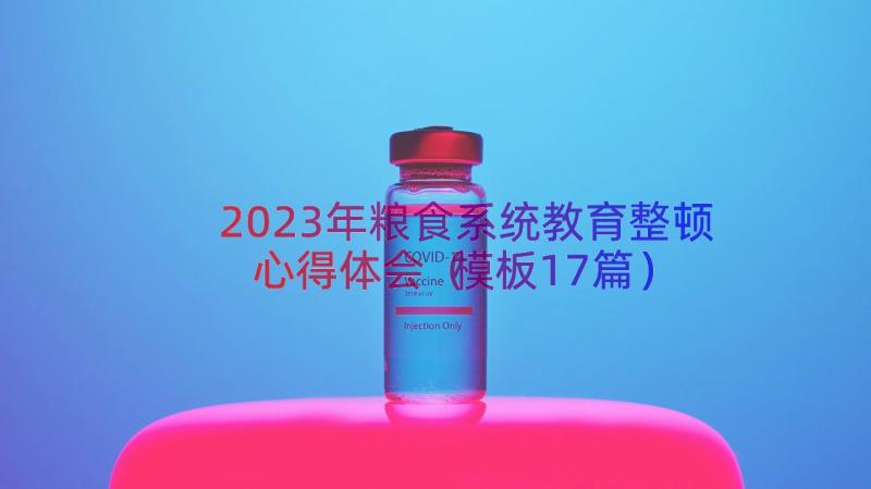 2023年粮食系统教育整顿心得体会（模板17篇）