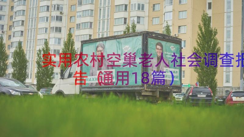 实用农村空巢老人社会调查报告（通用18篇）