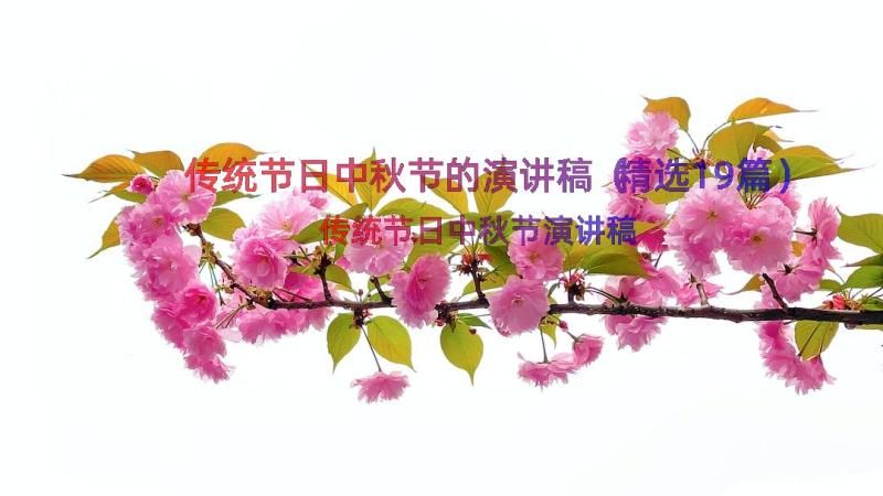 传统节日中秋节的演讲稿（精选19篇）