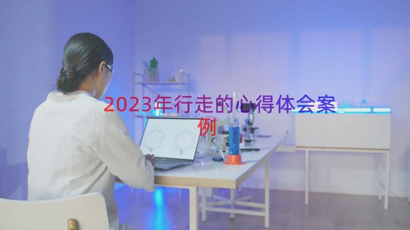 2023年行走的心得体会（案例19篇）