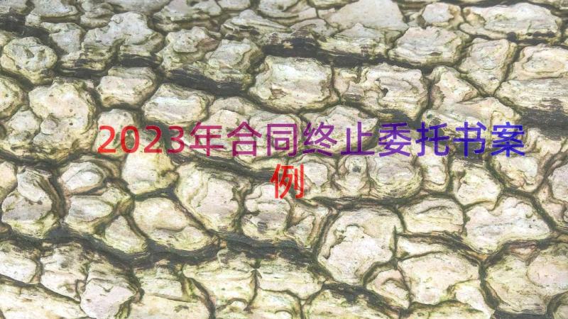 2023年合同终止委托书（案例16篇）