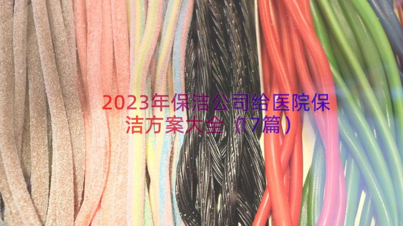 2023年保洁公司给医院保洁方案大全（17篇）