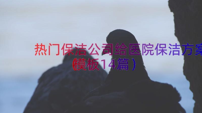 热门保洁公司给医院保洁方案（模板14篇）