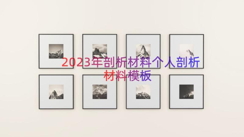 2023年剖析材料个人剖析材料（模板13篇）