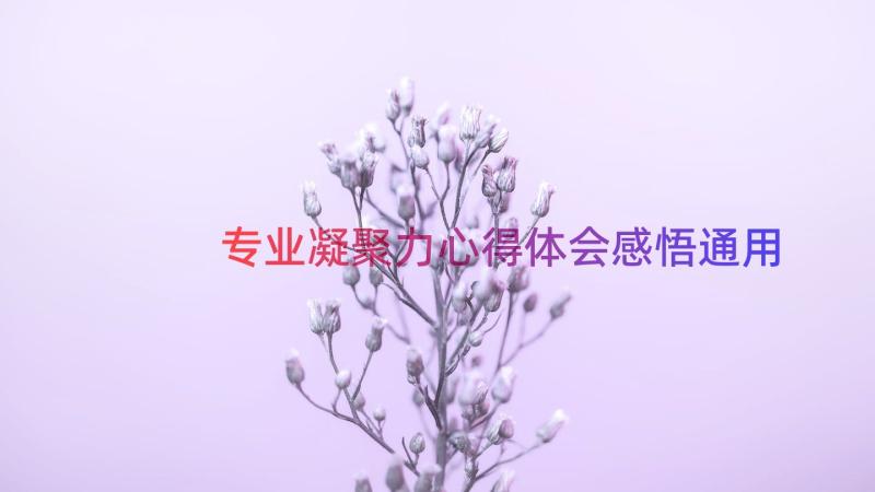 专业凝聚力心得体会感悟（通用13篇）