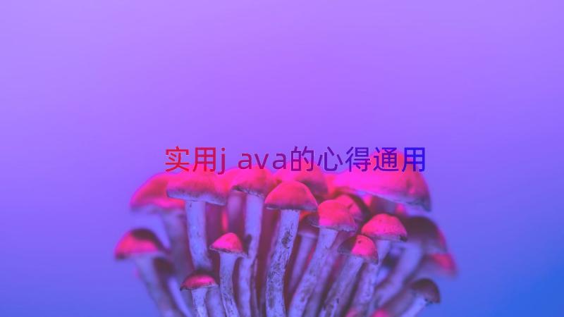 实用java的心得（通用17篇）