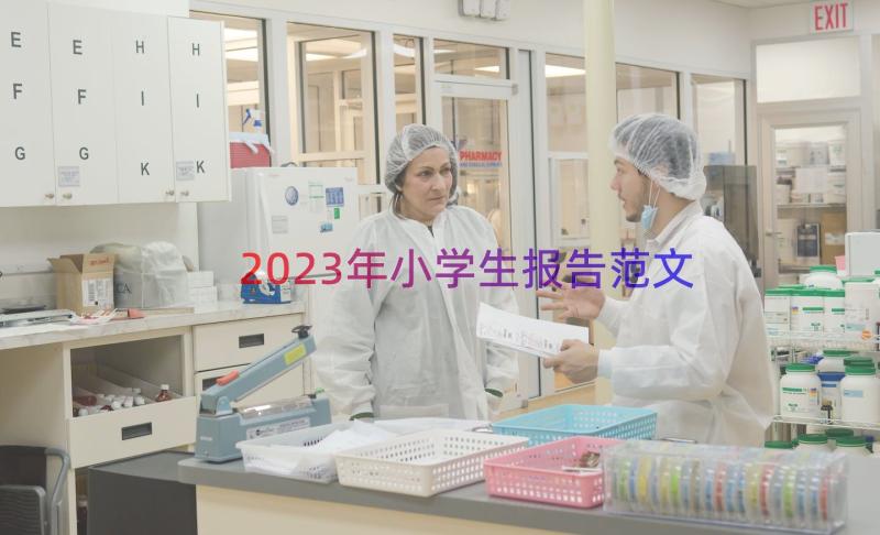 2023年小学生报告范文（16篇）