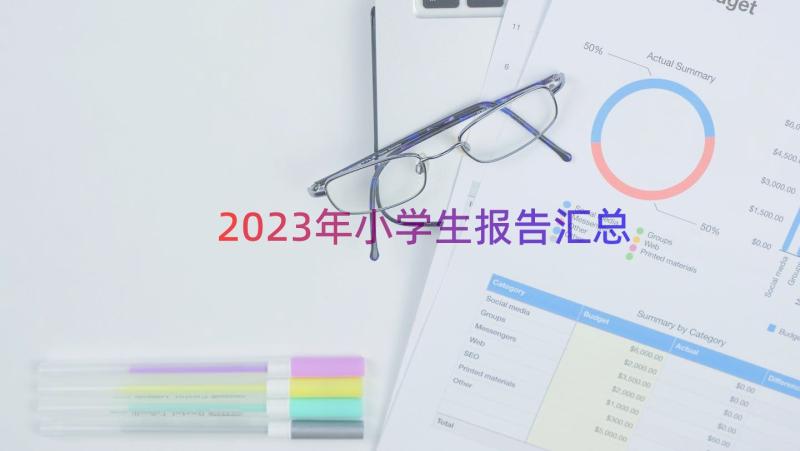 2023年小学生报告（汇总18篇）