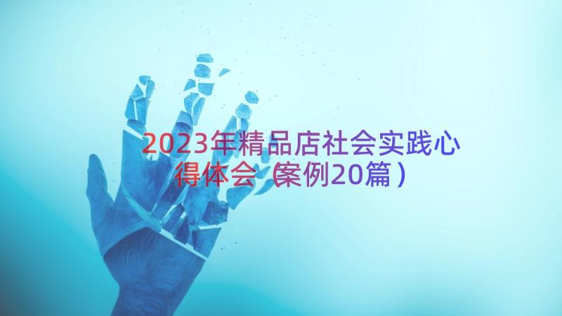 2023年精品店社会实践心得体会（案例20篇）