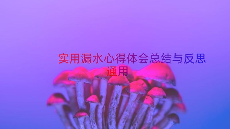 实用漏水心得体会总结与反思（通用12篇）