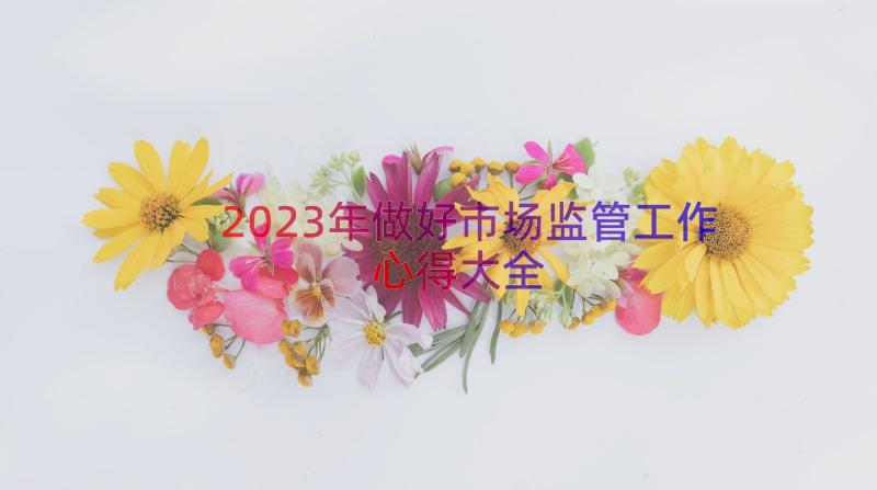 2023年做好市场监管工作心得大全（16篇）