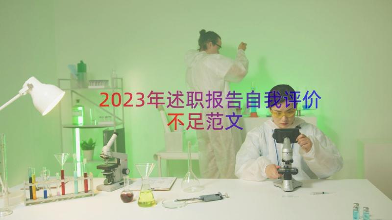 2023年述职报告自我评价不足范文（14篇）