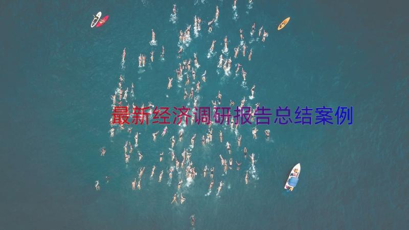 最新经济调研报告总结（案例14篇）