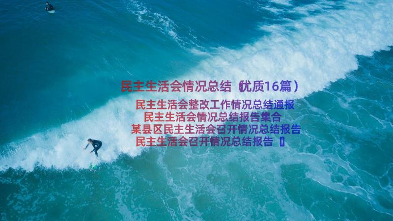 民主生活会情况总结（优质16篇）