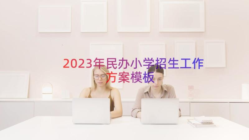 2023年民办小学招生工作方案（模板14篇）