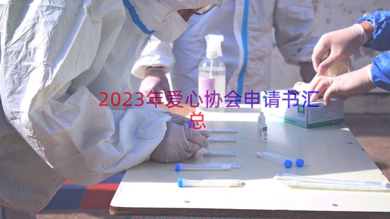 2023年爱心协会申请书（汇总17篇）