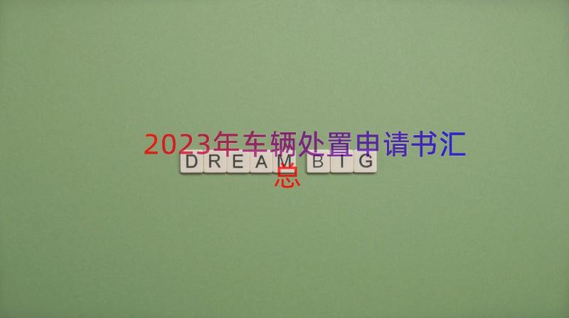 2023年车辆处置申请书（汇总16篇）