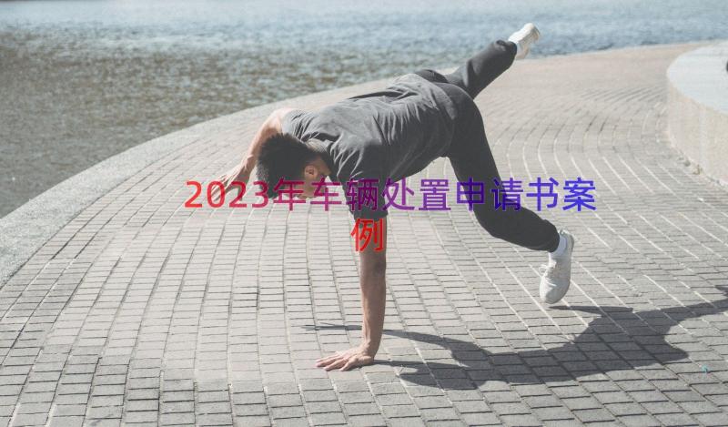 2023年车辆处置申请书（案例20篇）