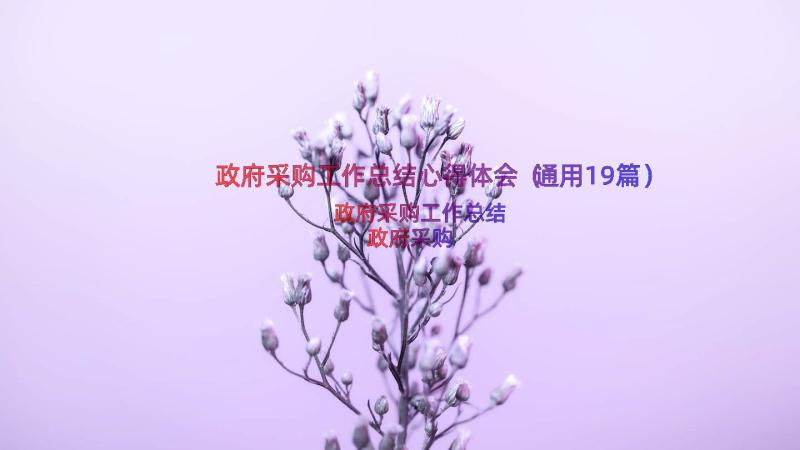 政府采购工作总结心得体会（通用19篇）