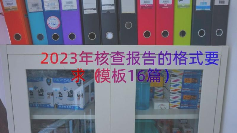 2023年核查报告的格式要求模板