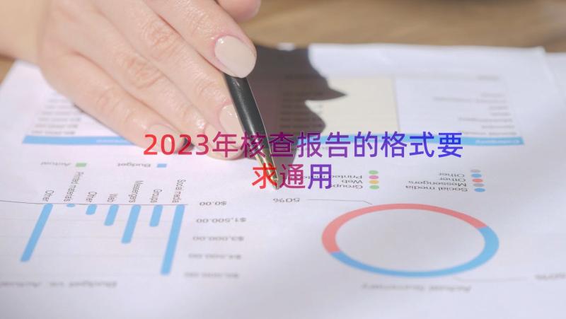 2023年核查报告的格式要求（通用15篇）