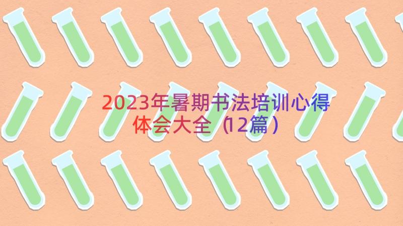 2023年暑期书法培训心得体会大全（12篇）