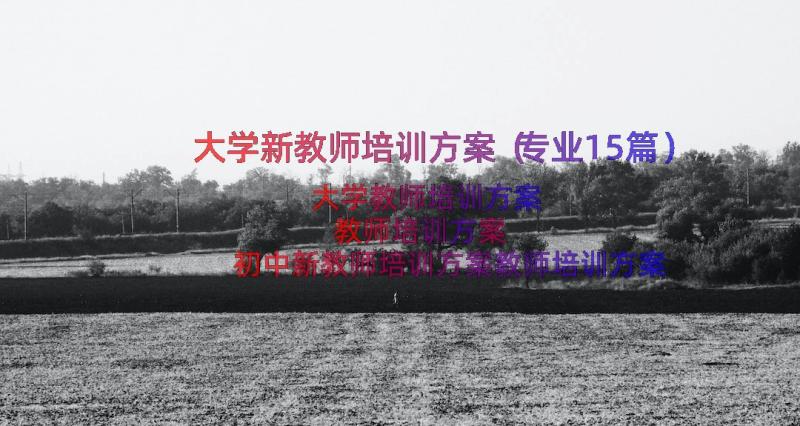 大学新教师培训方案（专业15篇）