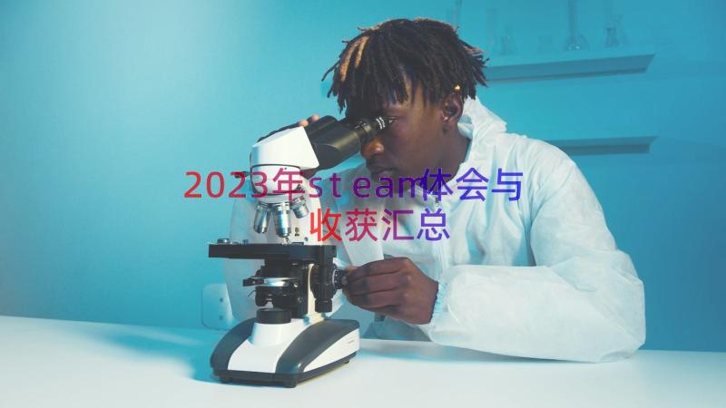 2023年steam体会与收获（汇总14篇）