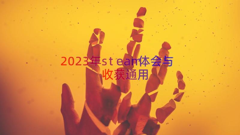 2023年steam体会与收获（通用17篇）